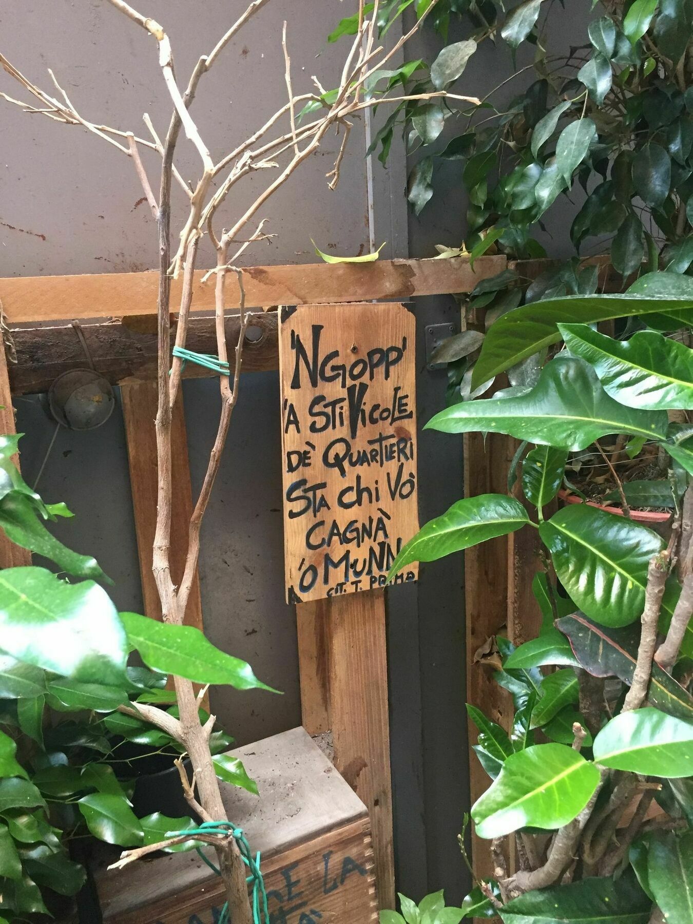 Vicoli Di Nápoles